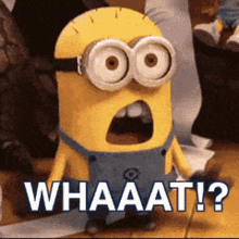 Whaaat Minion GIFs | Tenor